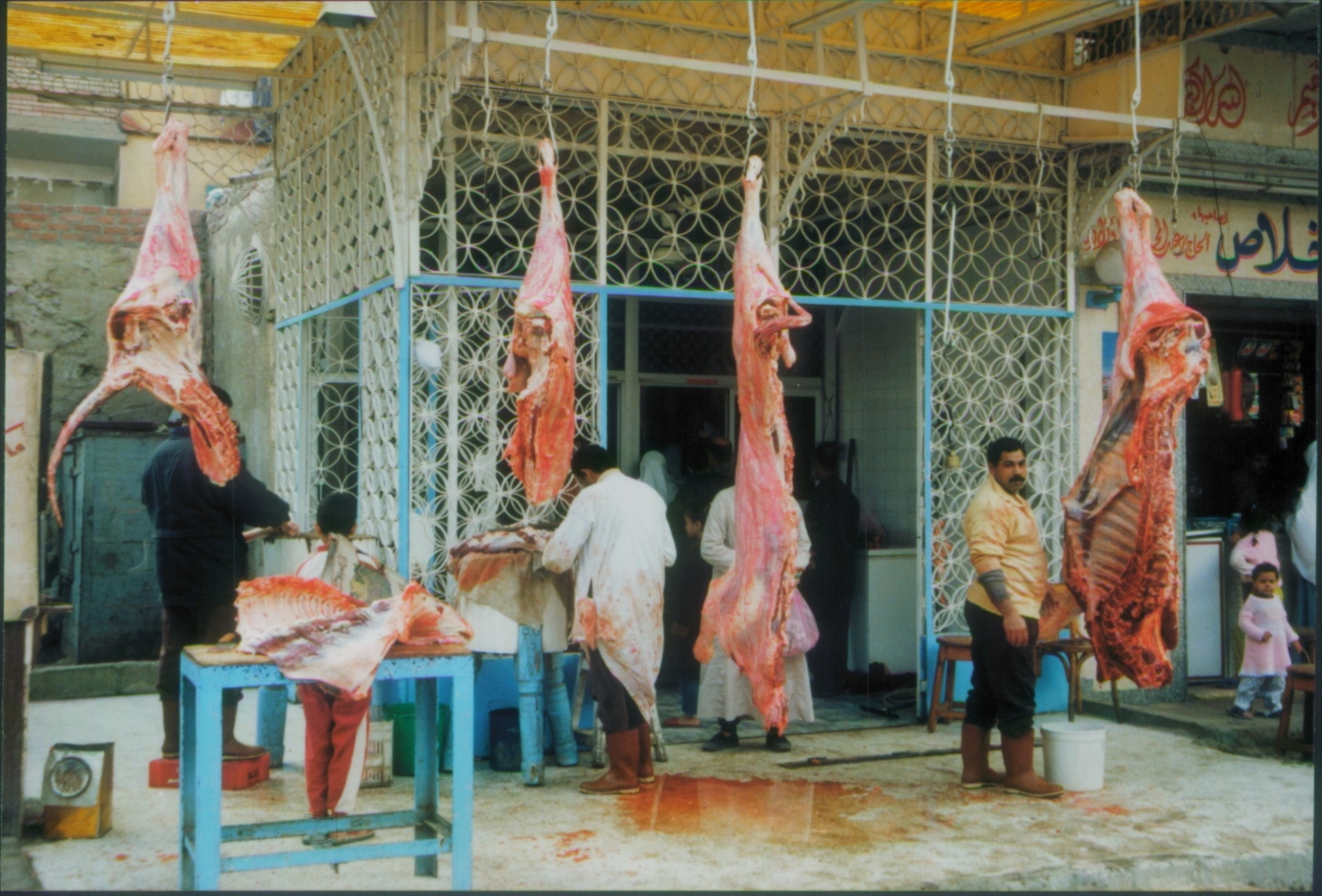Fresh Beef Cairo Egypt 1998