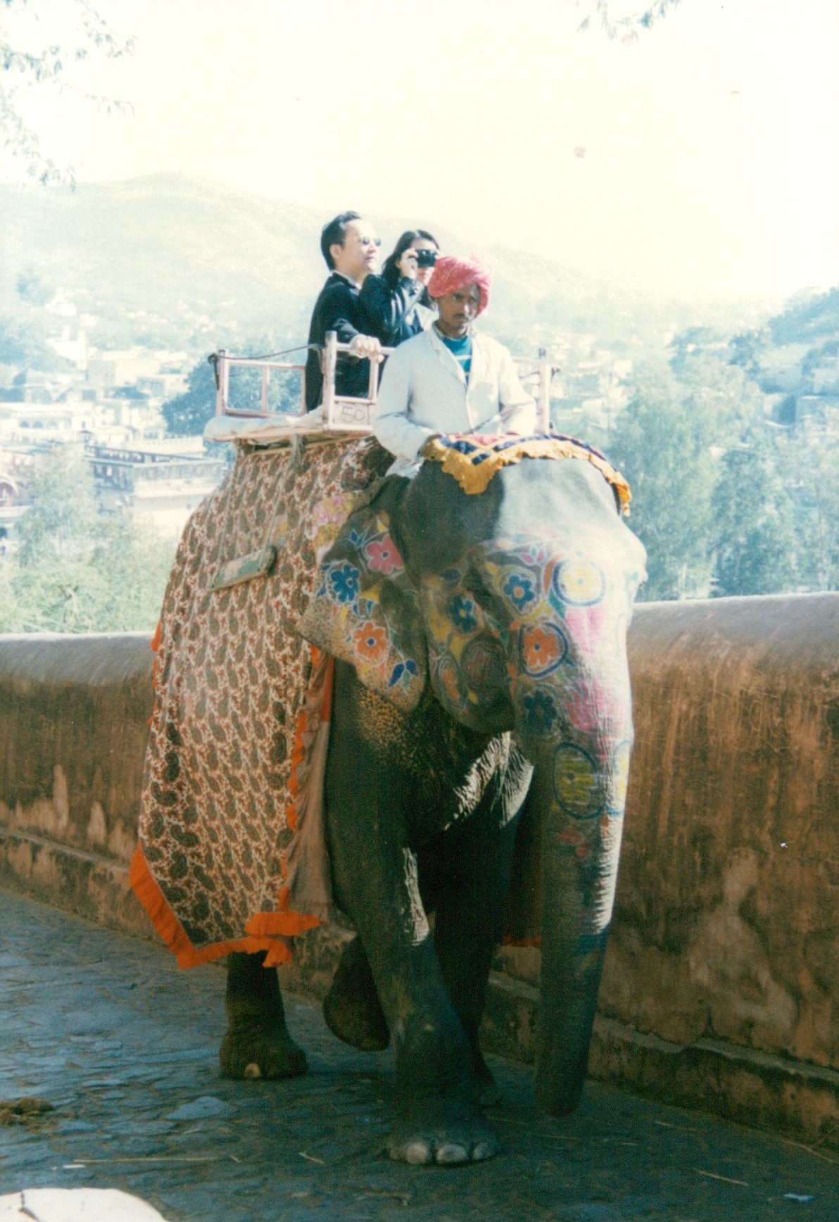 Elephant India 1997