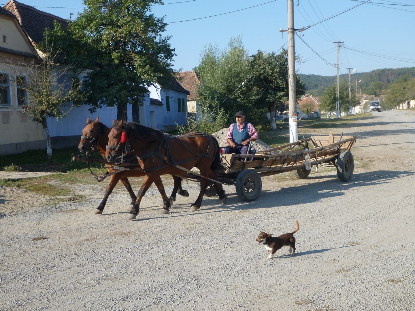 Horse Drawn Carriage Viscri Romania sep 2014