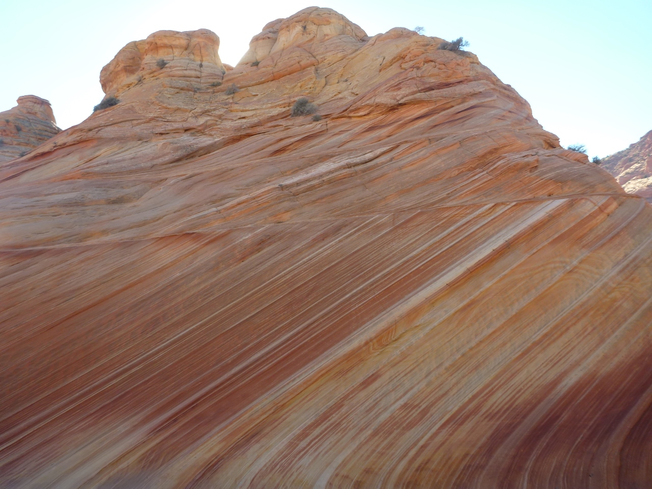 the wave coyote buttes north utah nov 2014