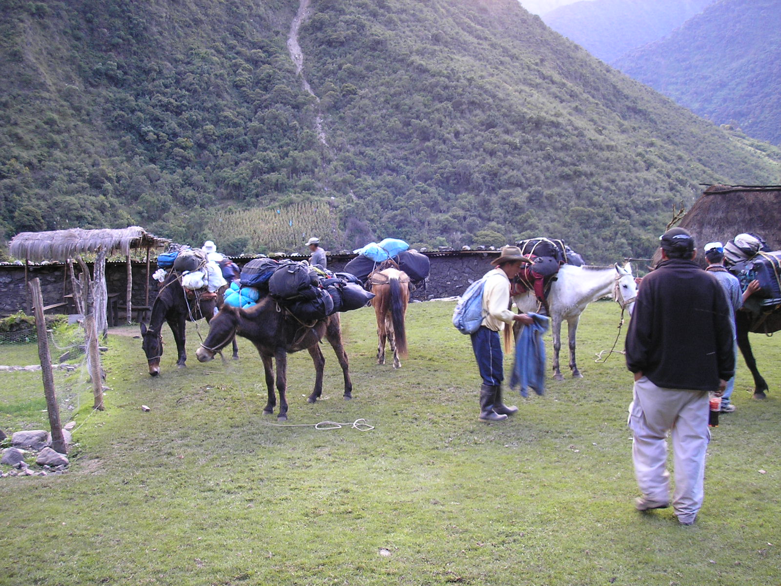Luggage Carried By Mules Salkantay Trek Peru May 2006