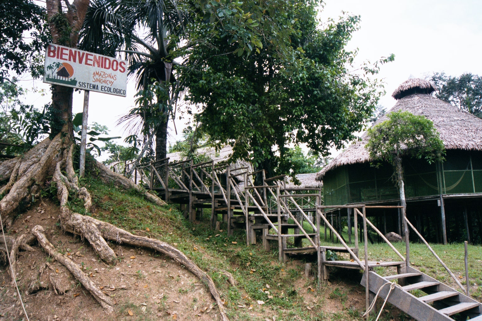 sinchucuy lodge in amazon near Iquitos. Peru - Feb 2002