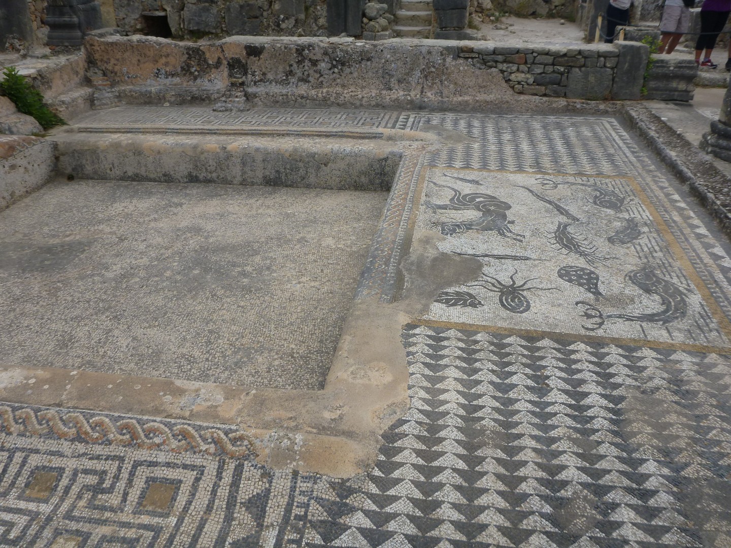 >Morocco Volubilis - Sep 2015