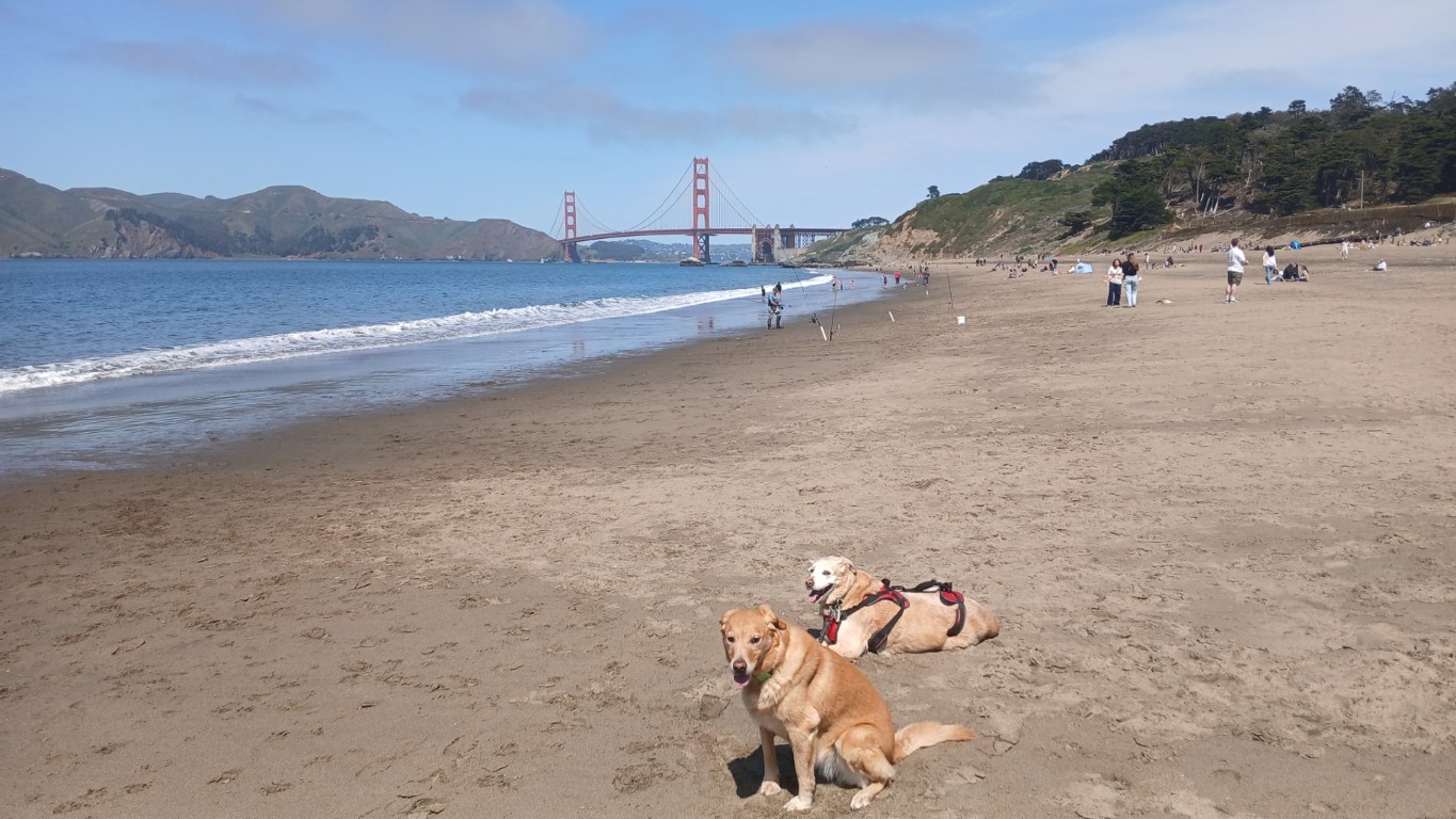 Baker Beach - San Francisco CA - Apr 2025
