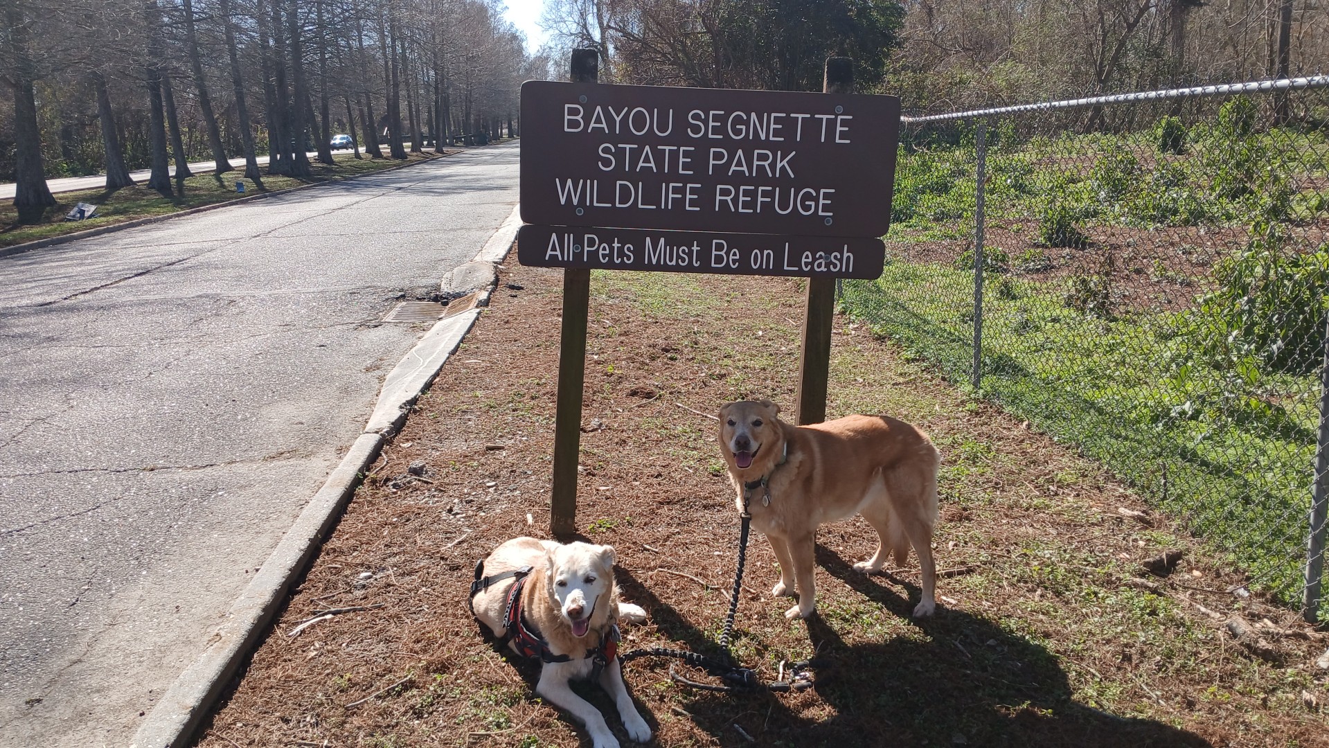 >Bayou Segnette State Park - Westwego LA - Jan 2026