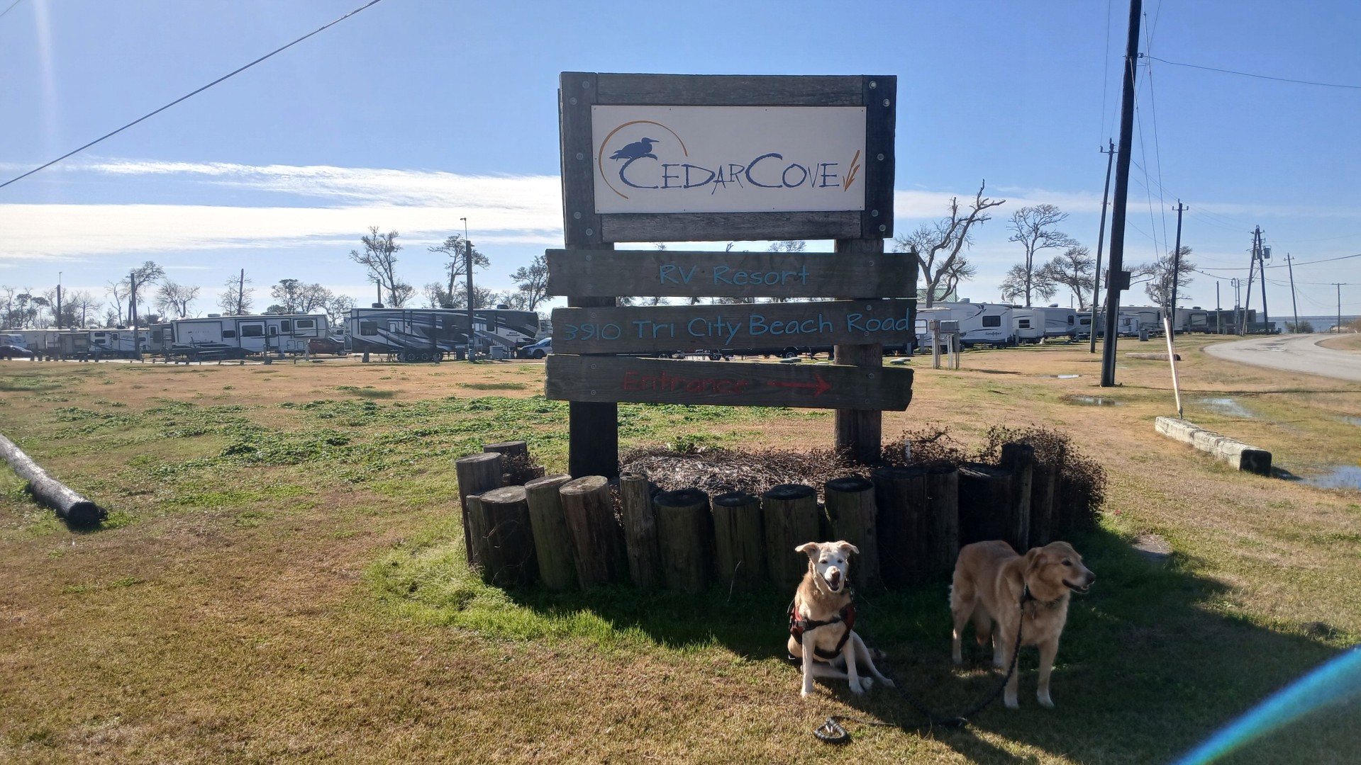 >Cedar Cove - Baytown TX - Feb 2026