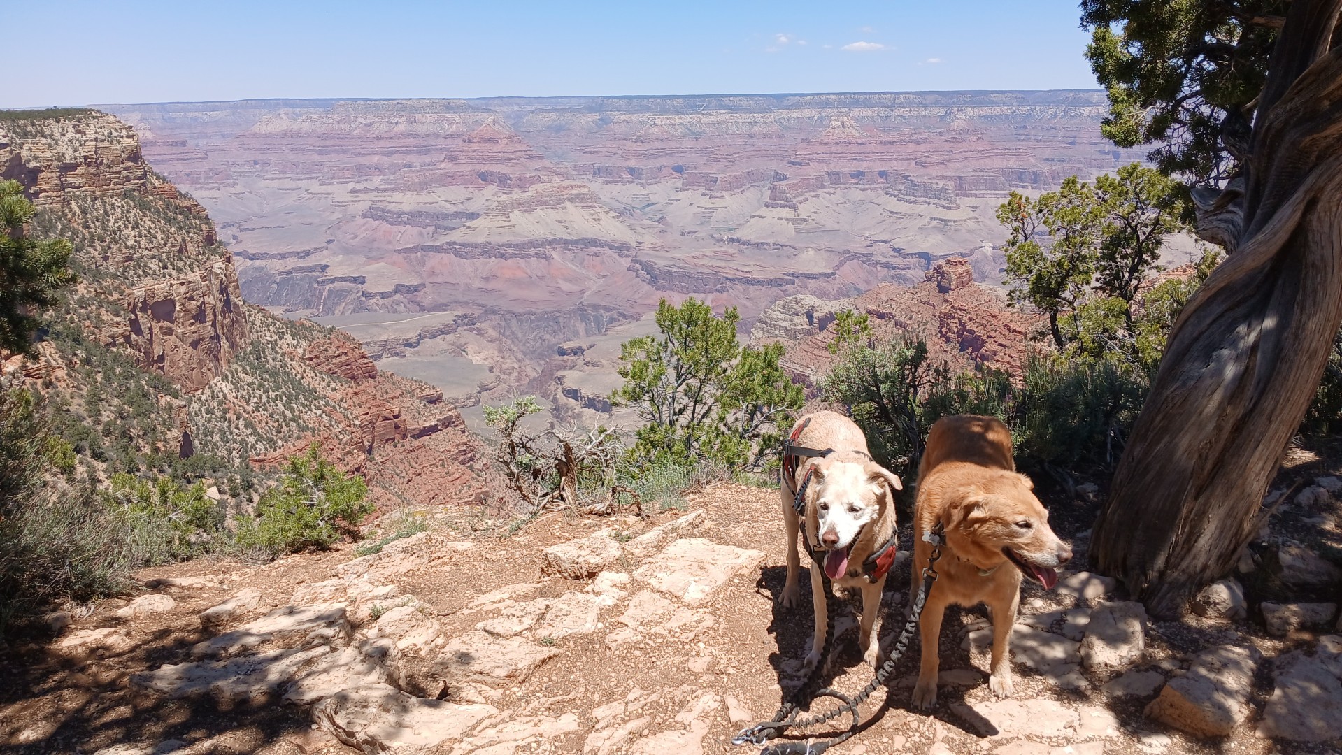 Grand Canyon May 2026