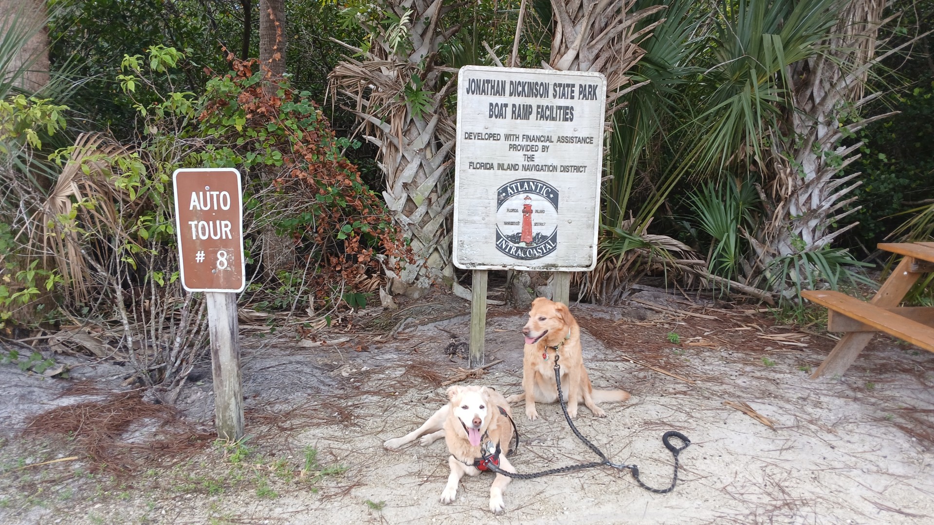 Johnathan Dickinson State Park - Hobe Sound FL - Oct 2025