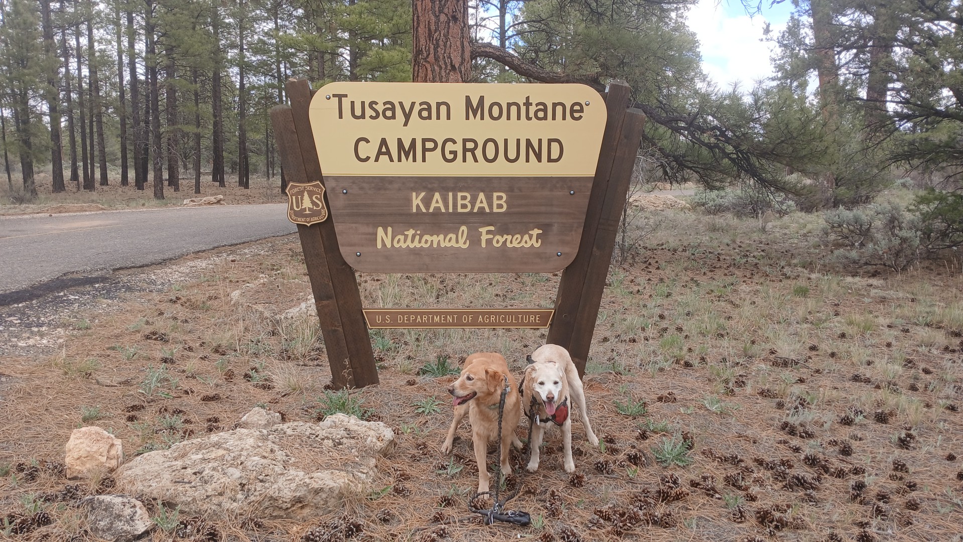 Tusayan Montane Campground - Tusayan AZ - May 2026