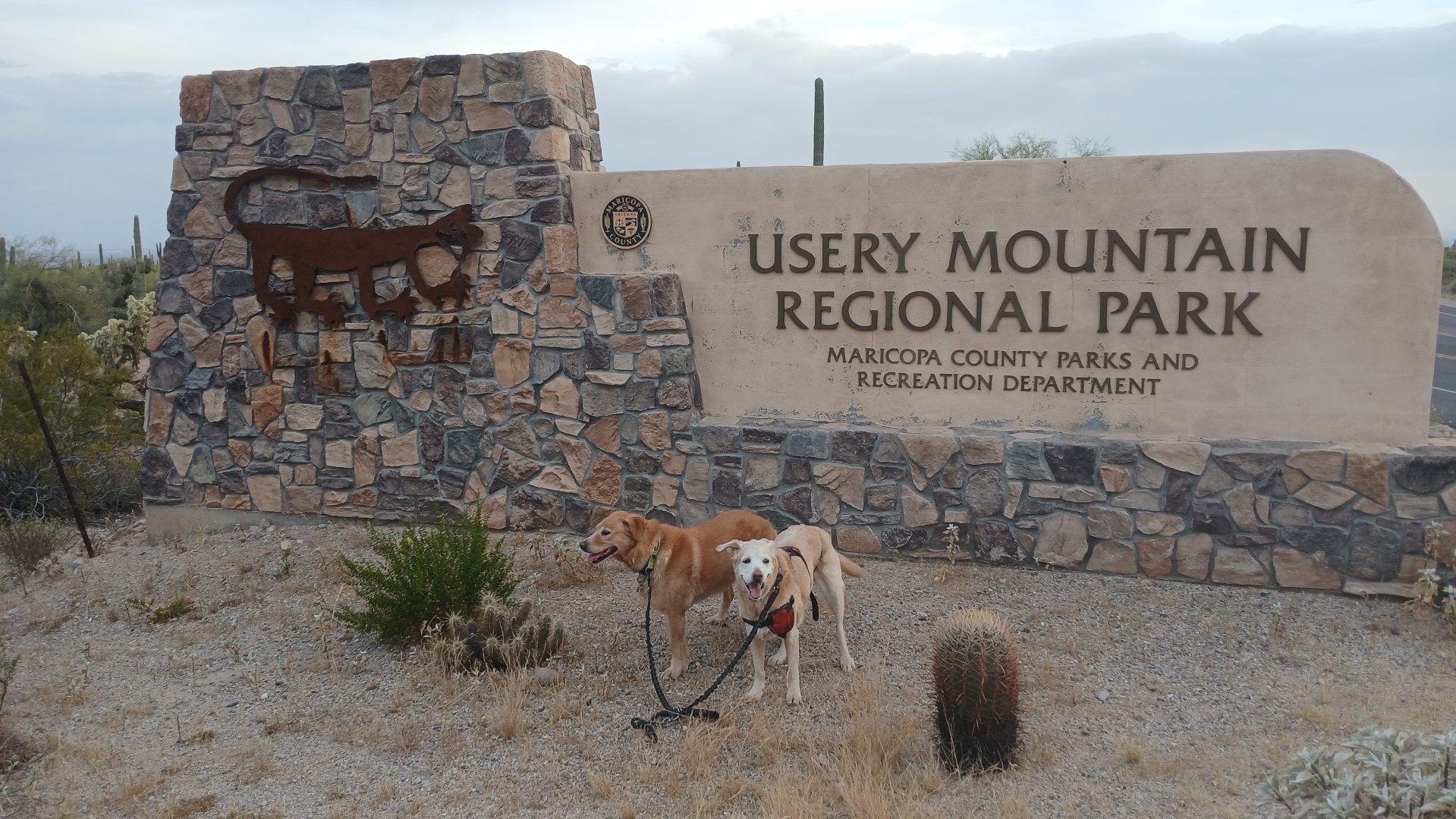 >Usery Mountain Park - Mesa AZ - Apr 2026