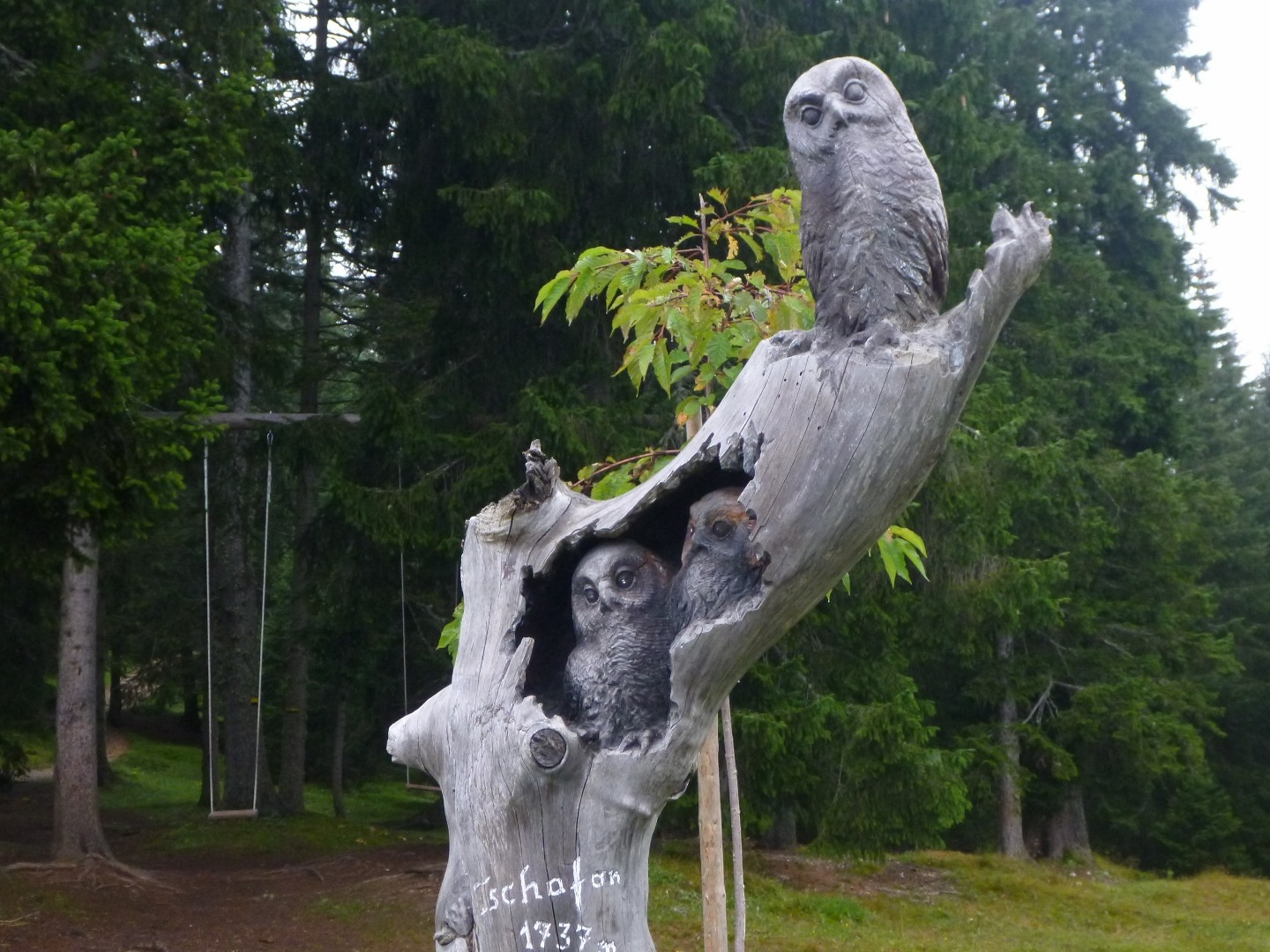 owl carving in tree trekking in dolomites italy aug 2014