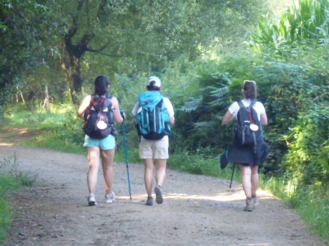 Walk The Camino de Santiago Spain Jul 2014