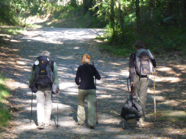 Walk The Camino de Santiago Spain Jul 2014