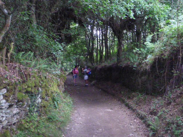 Walk The Camino de Santiago Spain Jul 2014