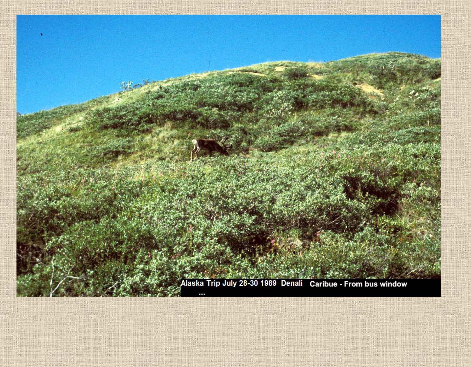 Alaska 1989