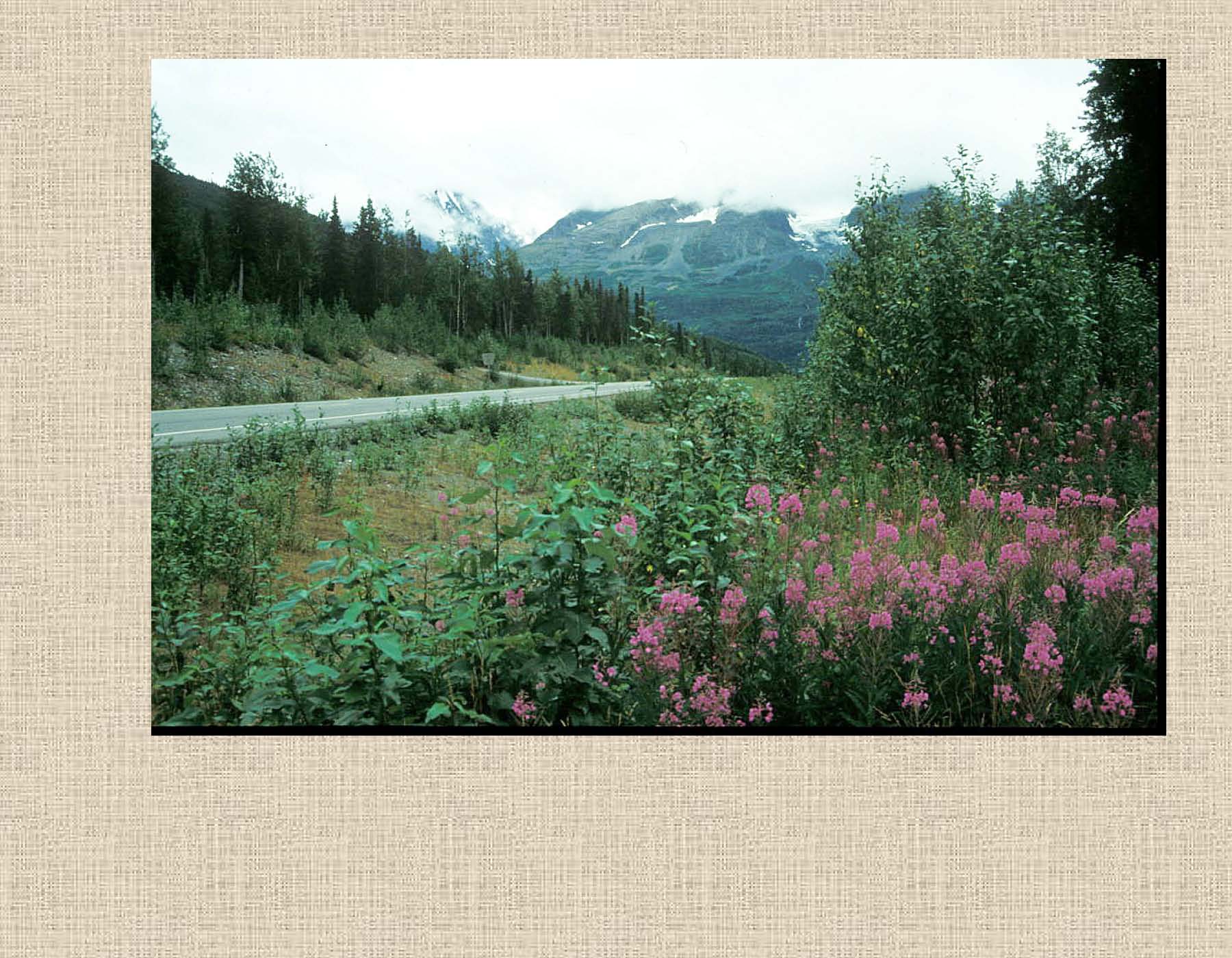 Alaska 1989