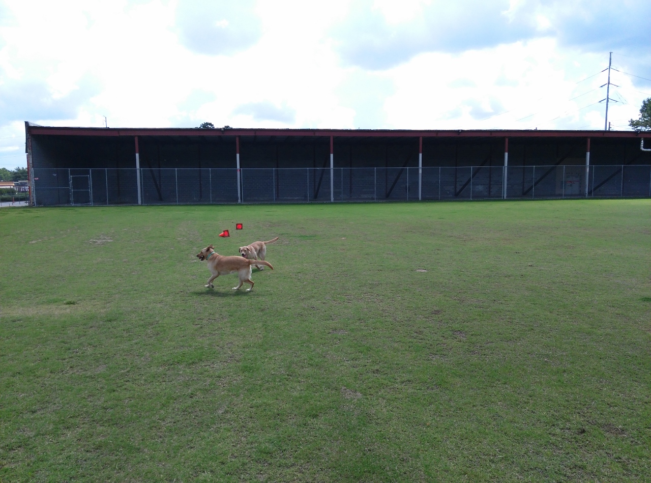 Site of future 