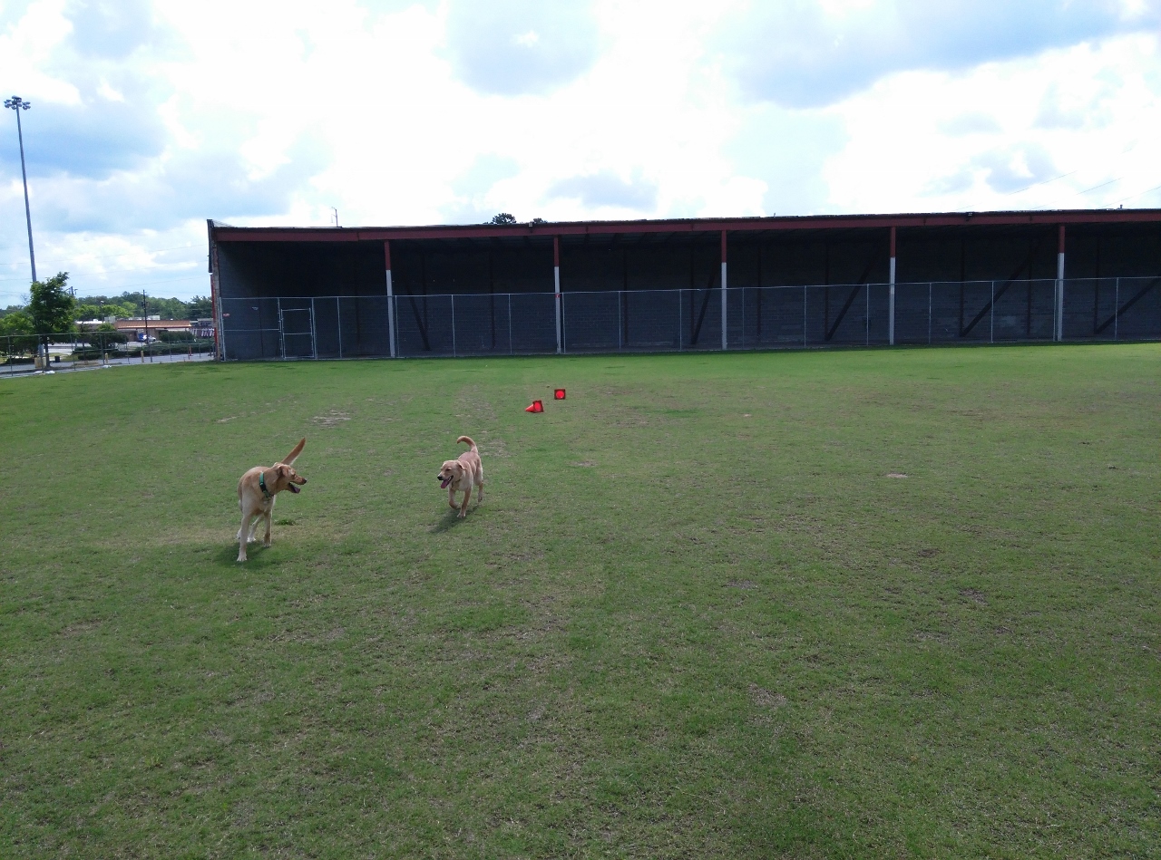 Site of future 