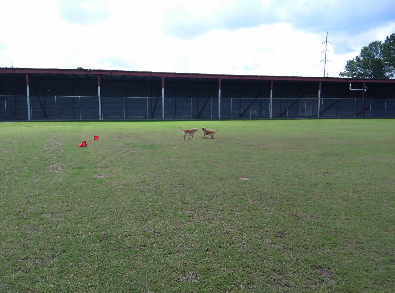 Site of future 