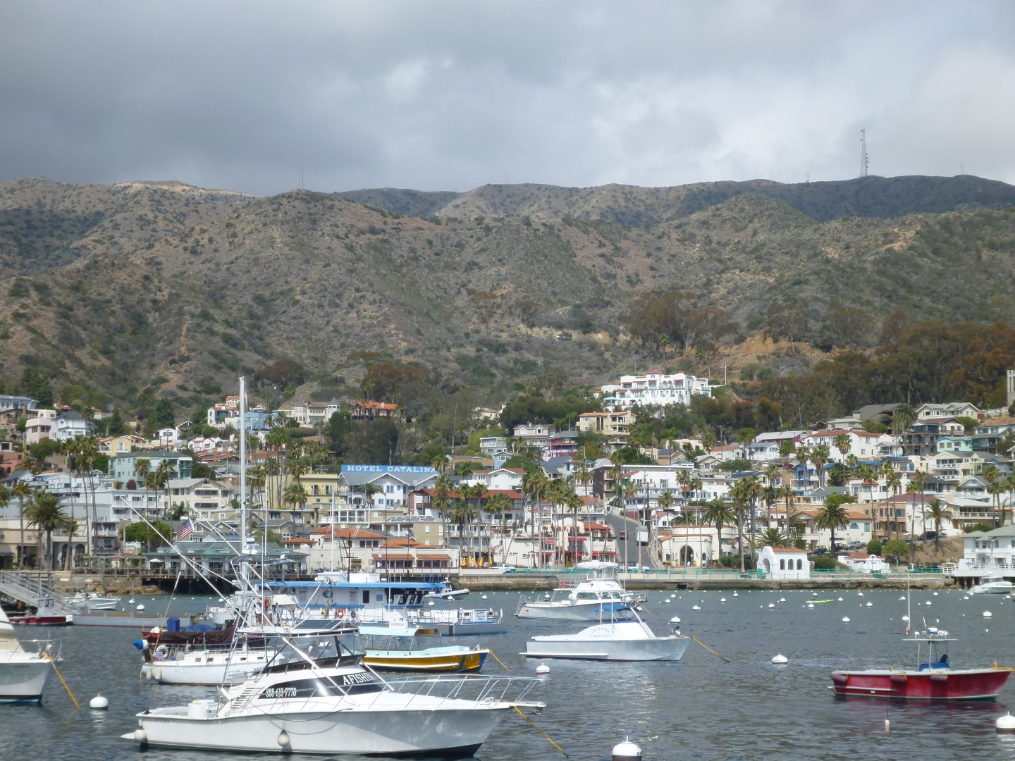 Catalina Island California - May 2016