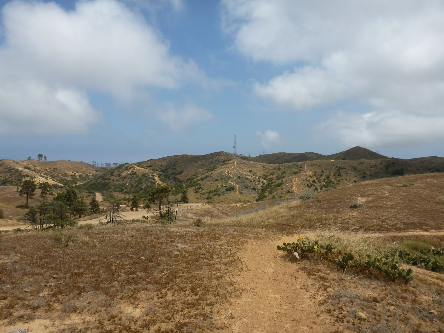 Catalina Island California - May 2016