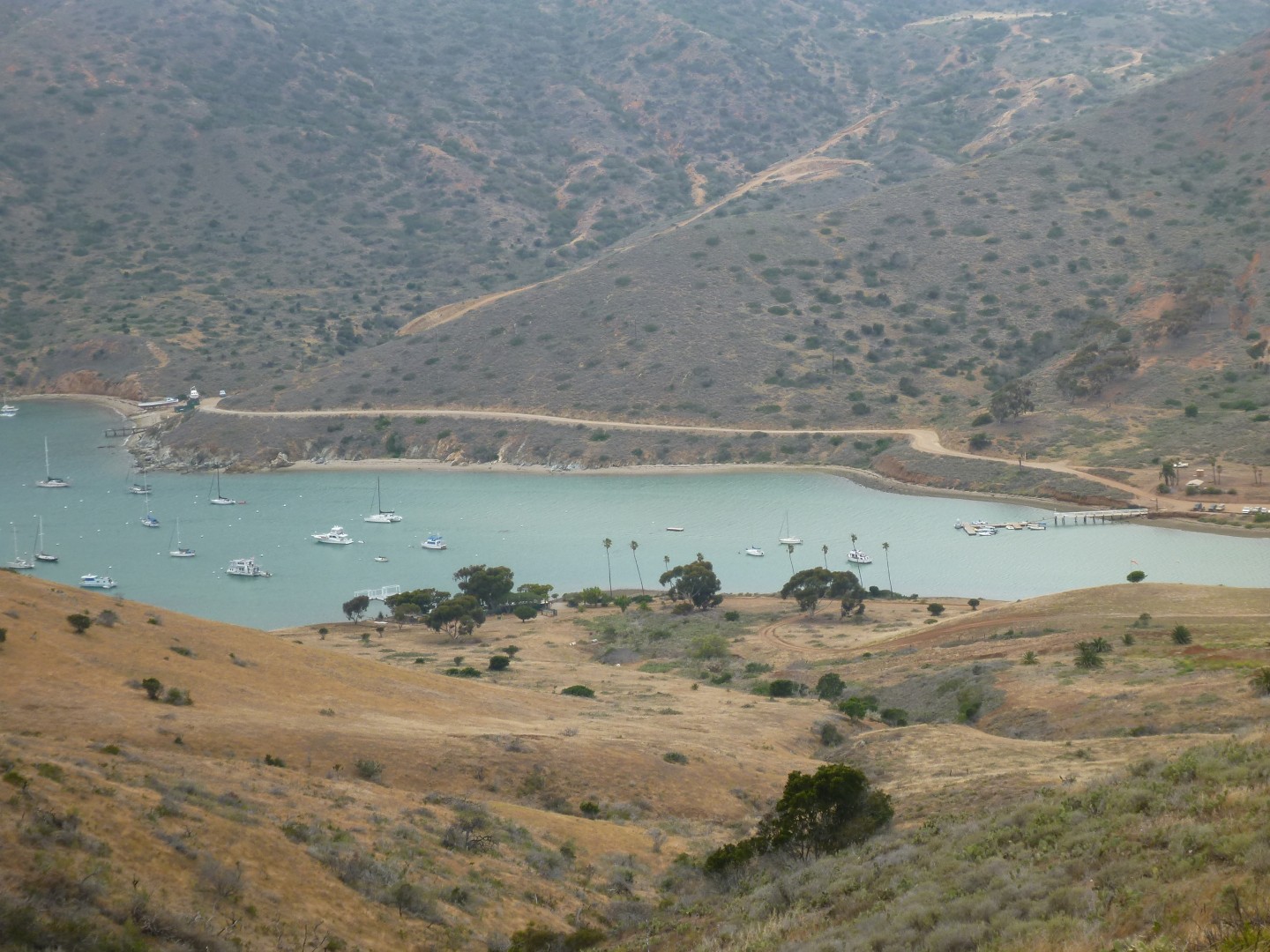 Catalina Island California - May 2016