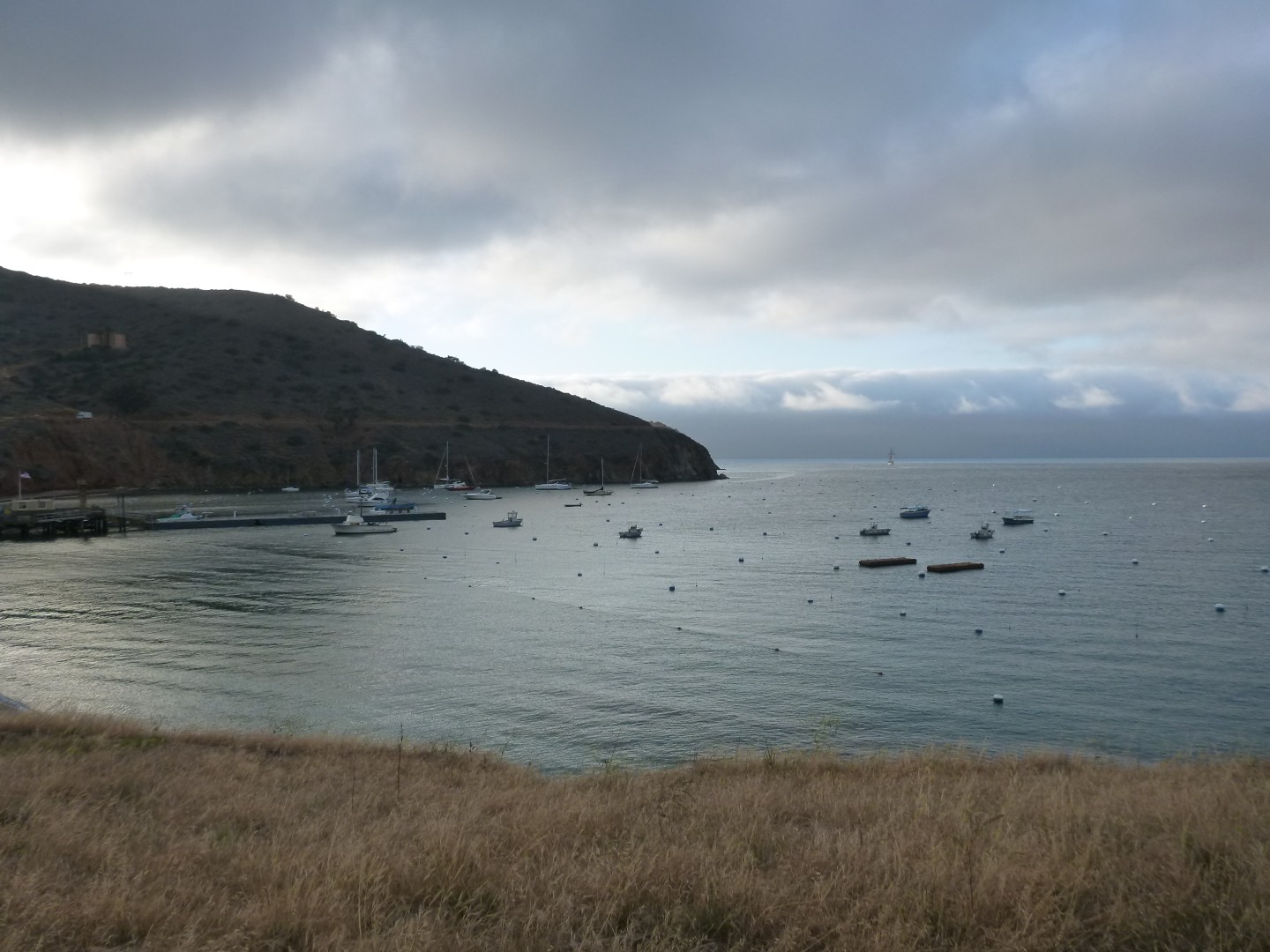 Catalina Island California - May 2016
