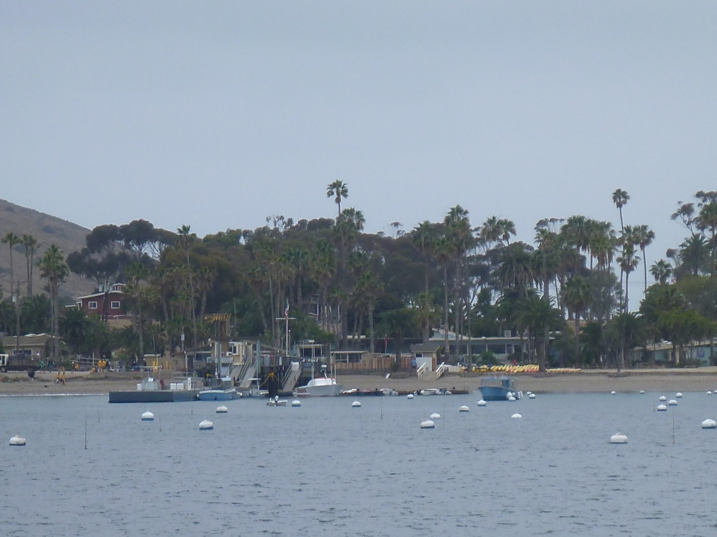 Catalina Island California - May 2016