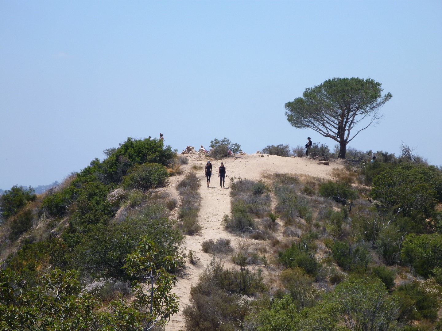 Hike to Hollywood Sign - Los Angeles California - May 2016
