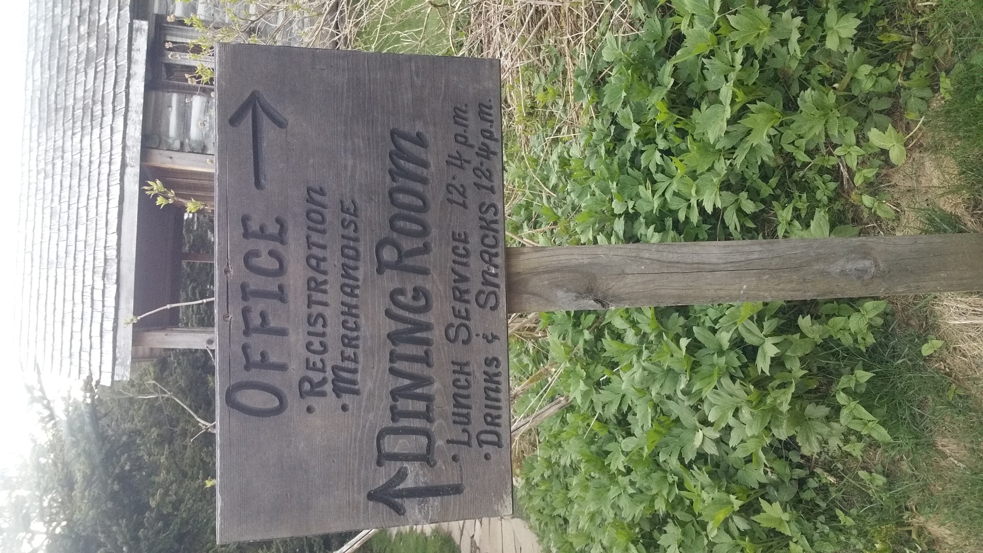 mt leconte smoky mountains tennessee may 2017