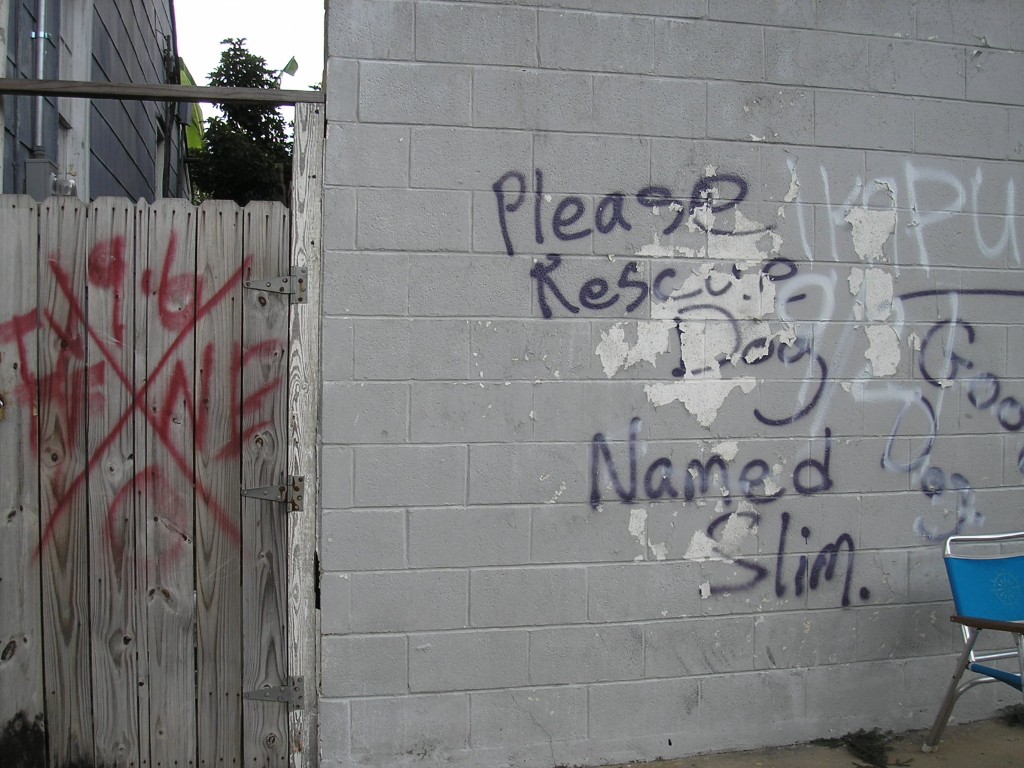 New Orleans Lousiana - Aug 2006