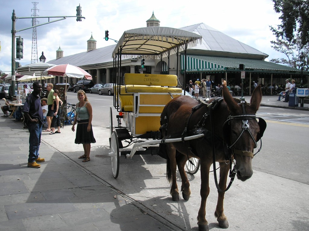 New Orleans Lousiana - Aug 2006