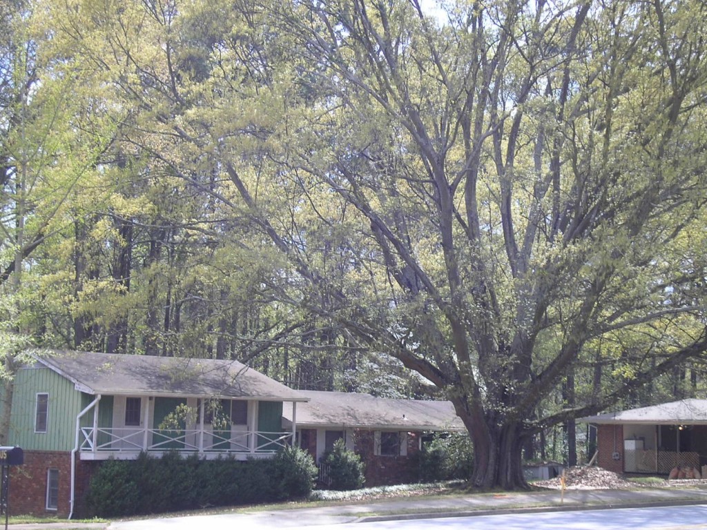 Abernathy Rd - Sandy Springs, Georgia - Apr 2006