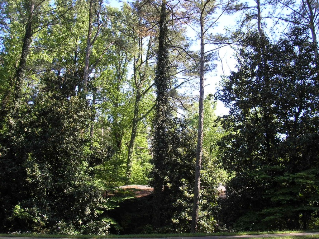 Abernathy Rd - Sandy Springs, Georgia - Apr 2006