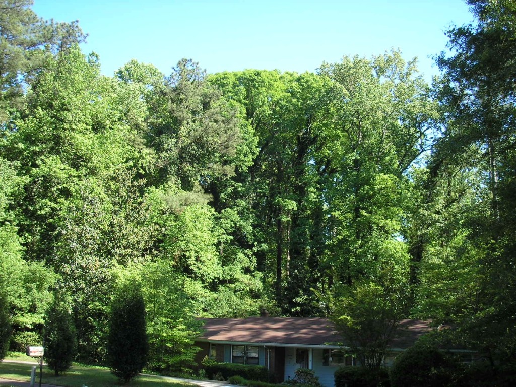 Abernathy Rd - Sandy Springs, Georgia - Apr 2006