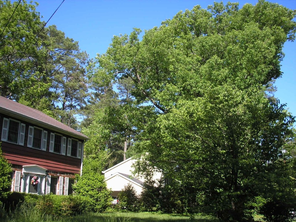 Abernathy Rd - Sandy Springs, Georgia - Apr 2006