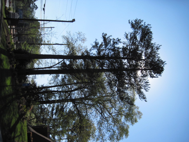 Abernathy Rd - Sandy Springs, Georgia - apr 2011