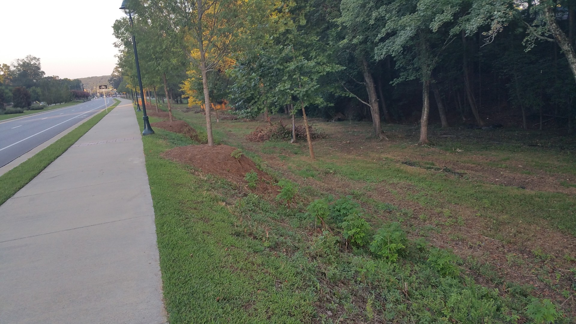 Abernathy Rd - Sandy Springs, Georgia - Aug 2017