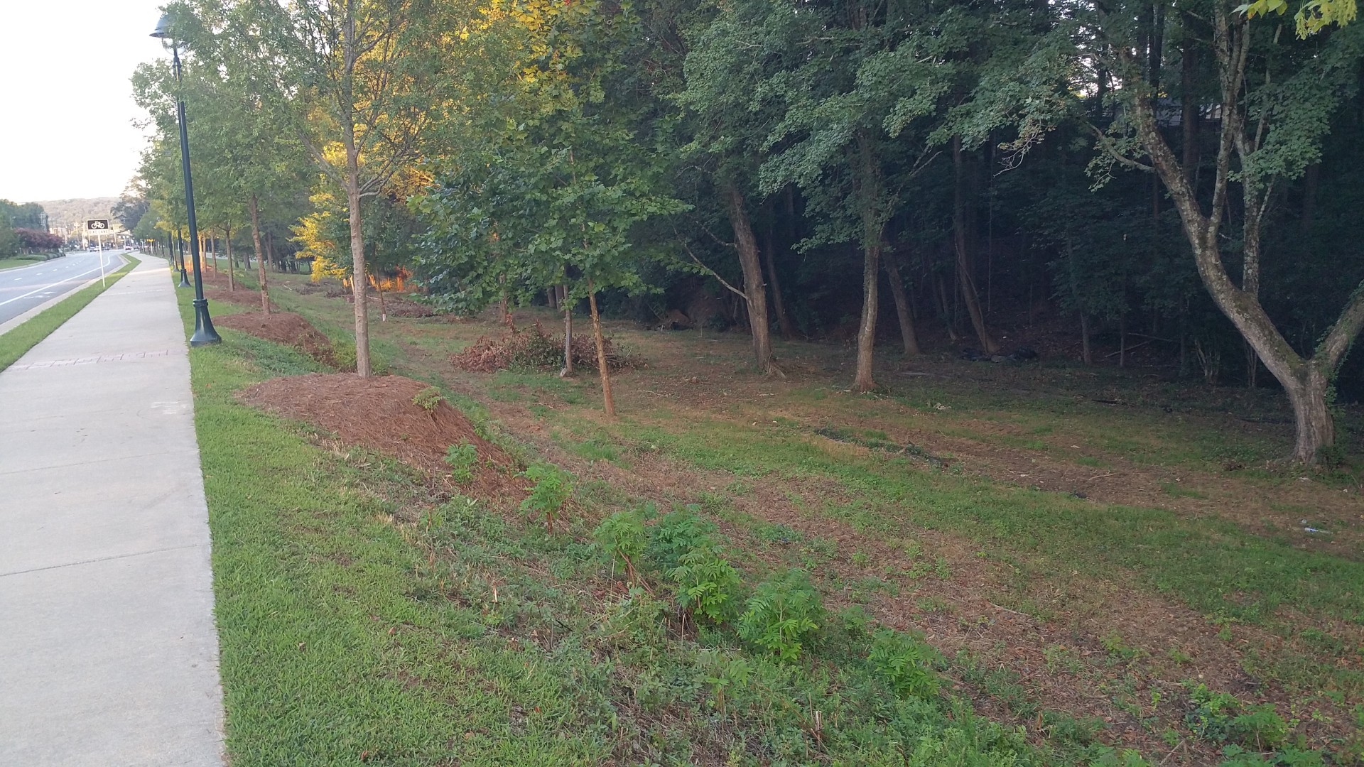 Abernathy Rd - Sandy Springs, Georgia - Aug 2017