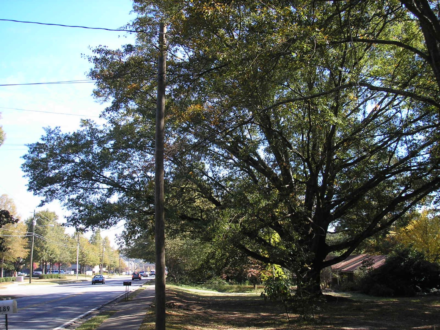 Abernathy Rd - Sandy Springs, Georgia - Nov 2007