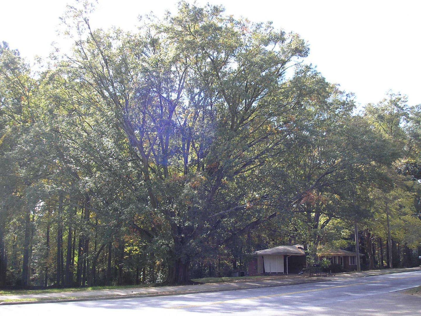 Abernathy Rd - Sandy Springs, Georgia - Nov 2007