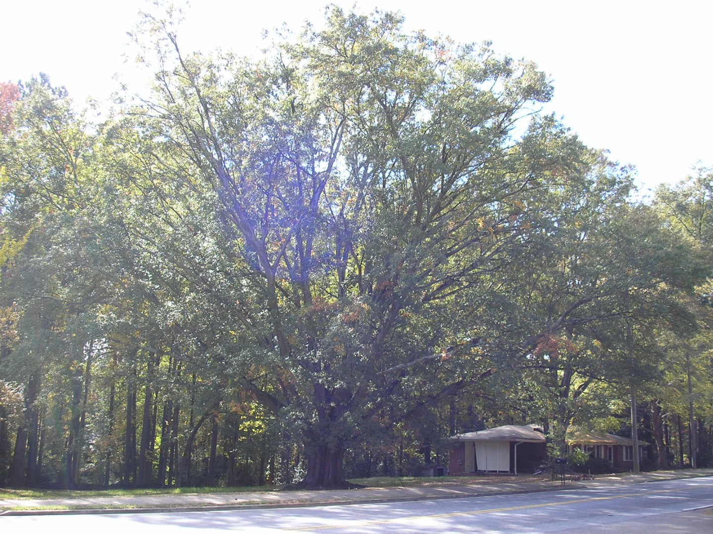 Abernathy Rd - Sandy Springs, Georgia - Nov 2007