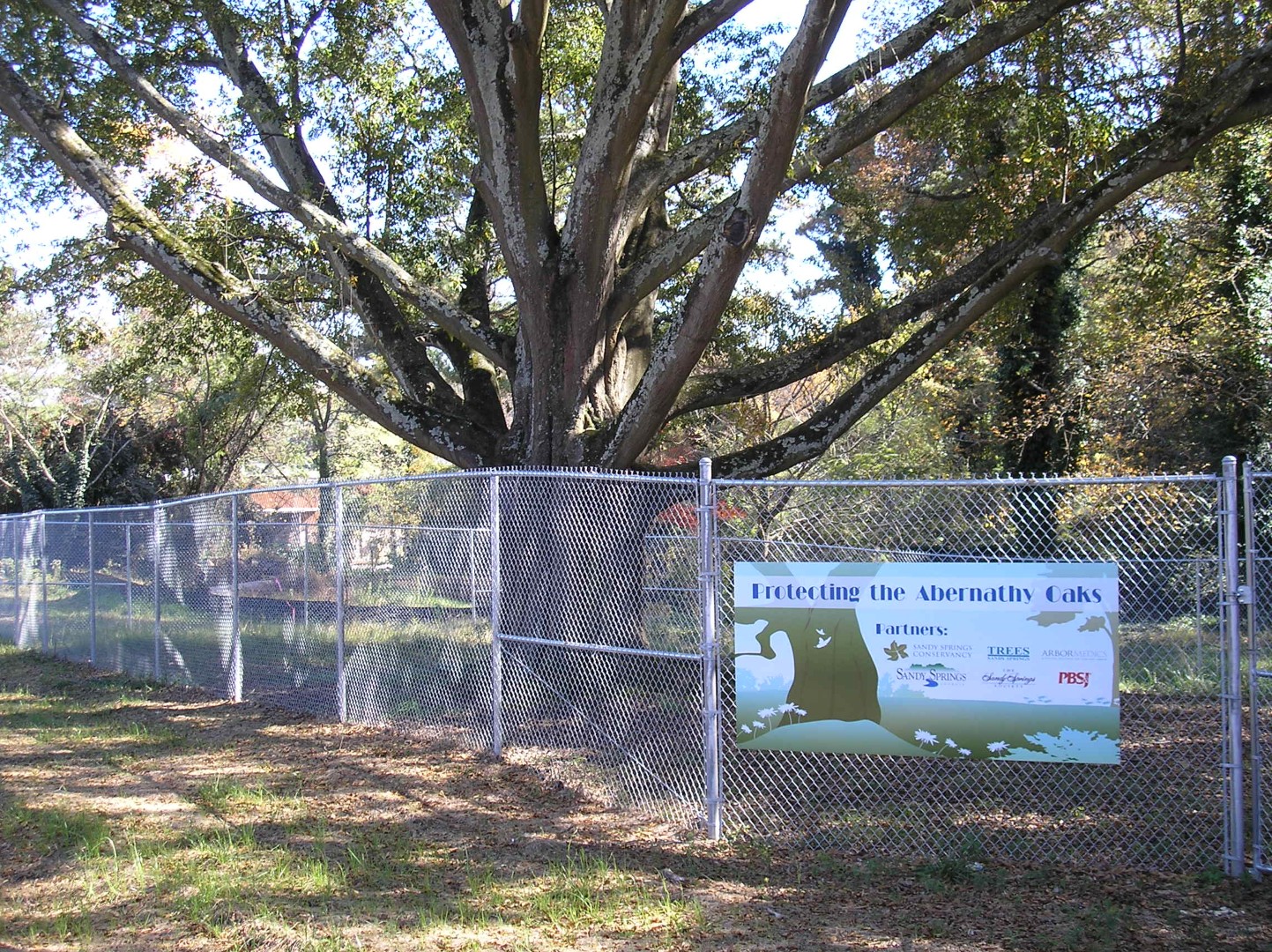 Abernathy Rd - Sandy Springs, Georgia - Nov 2009