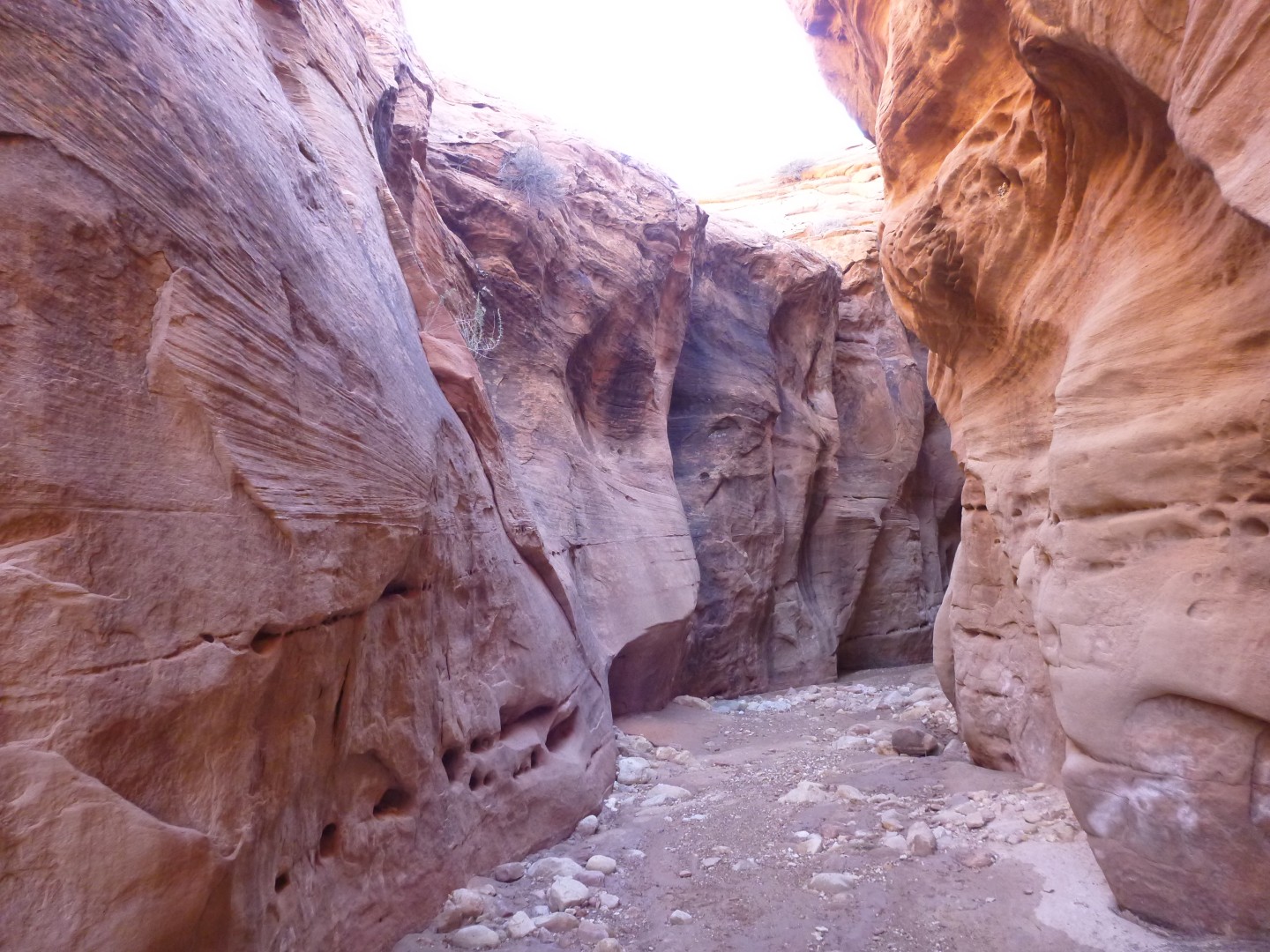 Buckskin Gulch slot canyon utah - nov 2014
