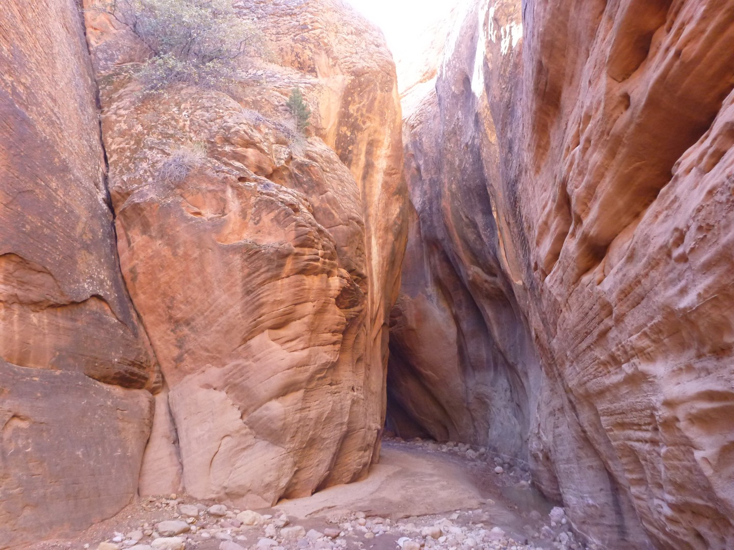 Buckskin Gulch slot canyon utah - nov 2014