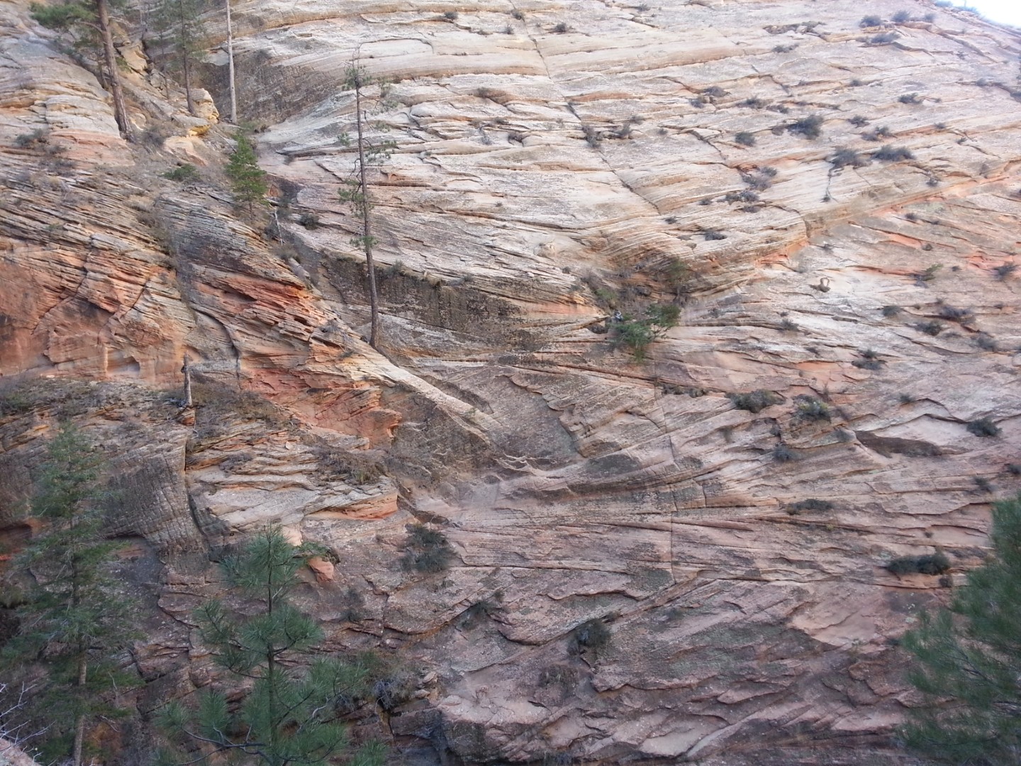 Zion National Park - Nov 2014