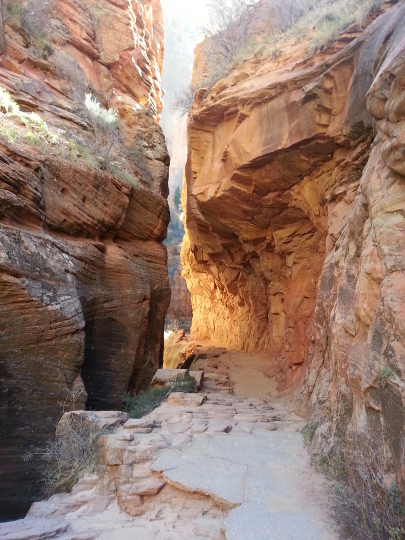 Zion National Park - Nov 2014