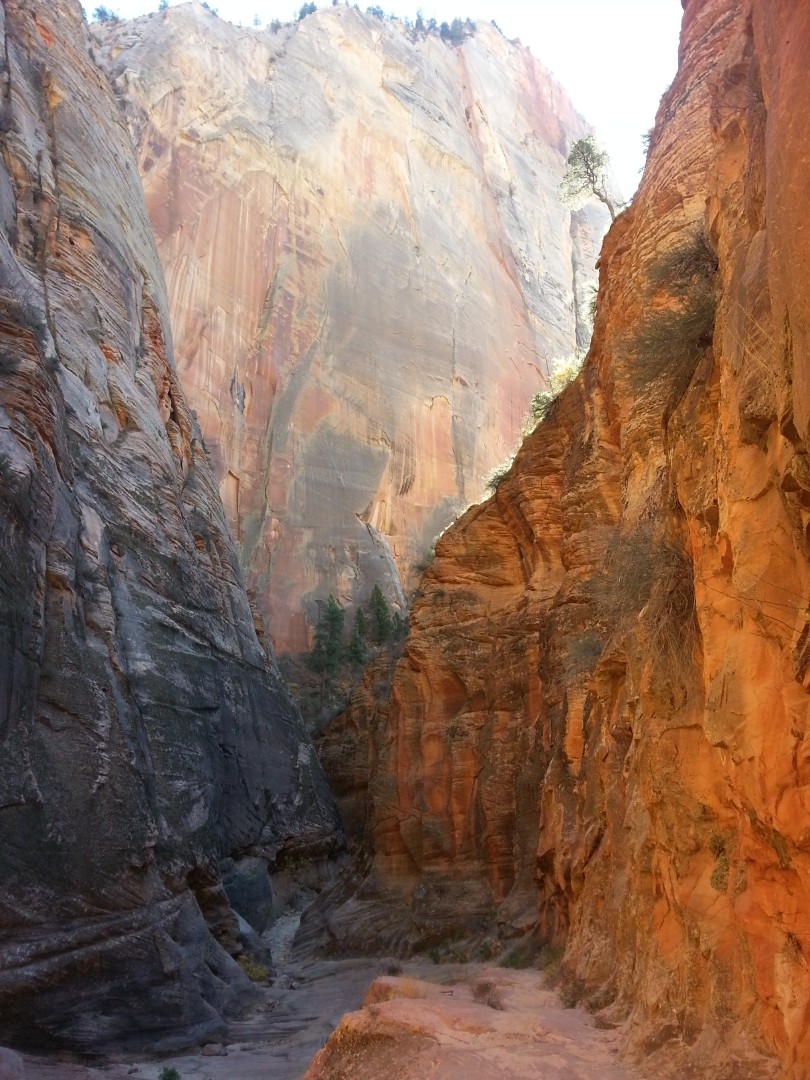 Zion National Park - Nov 2014