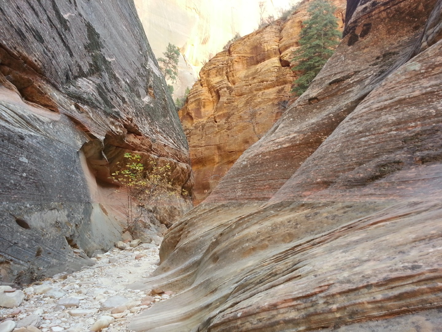Zion National Park - Nov 2014